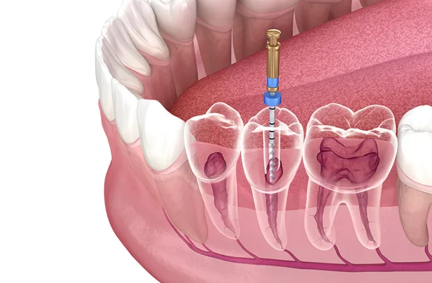 Smiling dentist